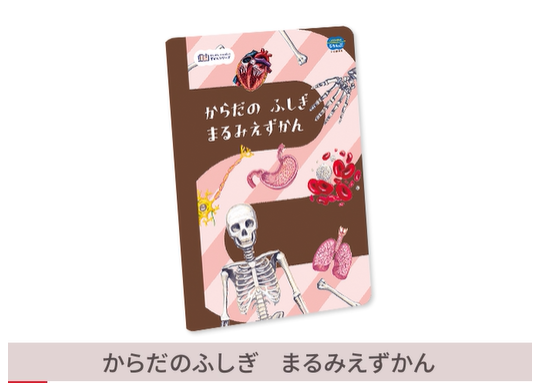 じゃんぷコースの限定教材「からだのふしぎ まるみえずかん」の画像。