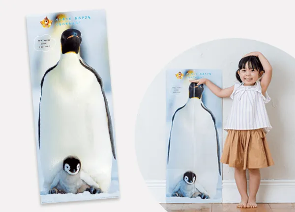 ほっぷコースの早期入会特典「ペンギンポスター」の画像