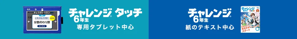 ハイブリットスタイル、オリジナルスタイル