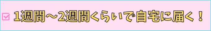 学研の専用カバンは、申し込みから1週間~2週間で届きます。