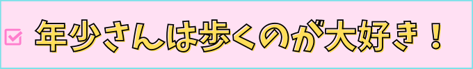 こどもちゃれんじのほっぷコース(年少さん)のママの体験談。
