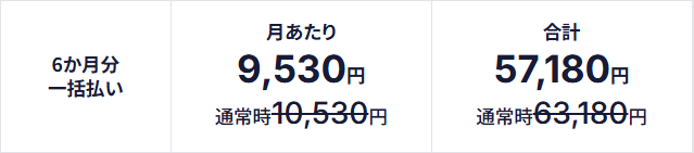 研ゼミ高校講座の「1000円割引」の、6ヶ月払いの割引後の受講費を紹介。