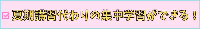 進研中学講座は夏期講習代わりの集中学習ができる。