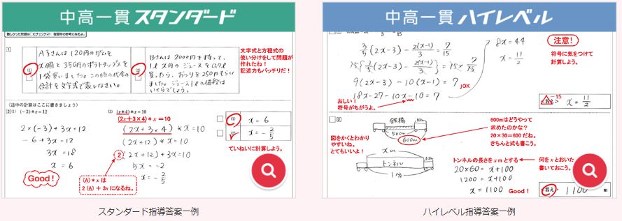 進研ゼミ中学講座の中高一貫スタイルの「スタンダードコース」と「ハイレベルコース」の紹介。